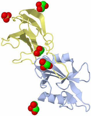 Image Biological Unit 3