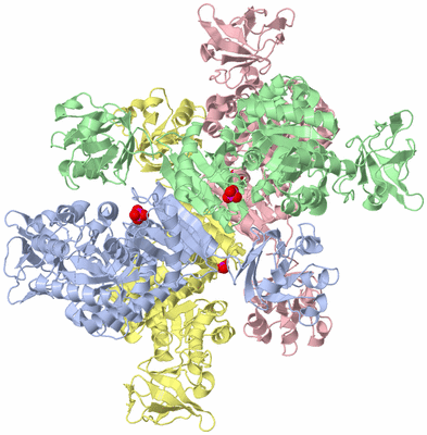 Image Asym./Biol. Unit