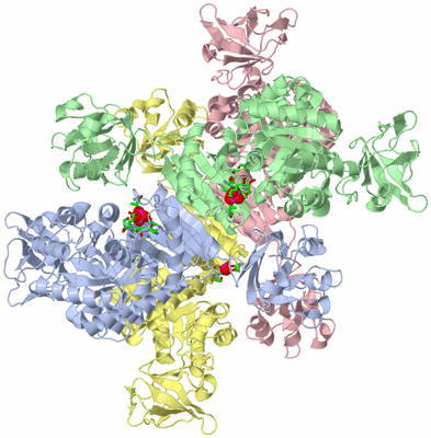 Image Asym./Biol. Unit - sites