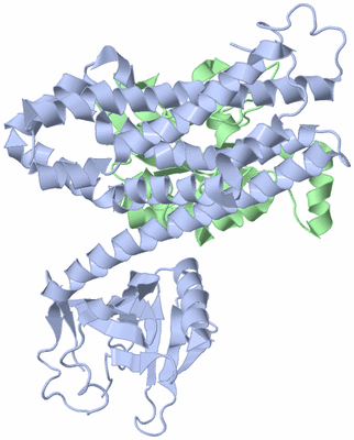 Image Biological Unit 1