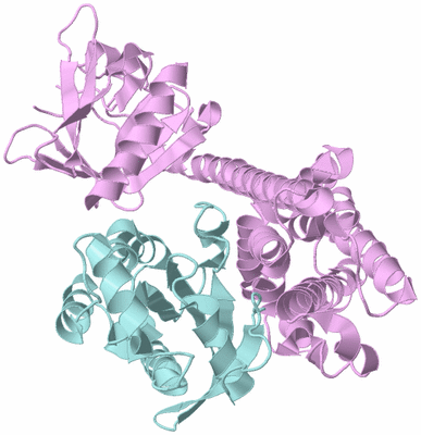 Image Biological Unit 2