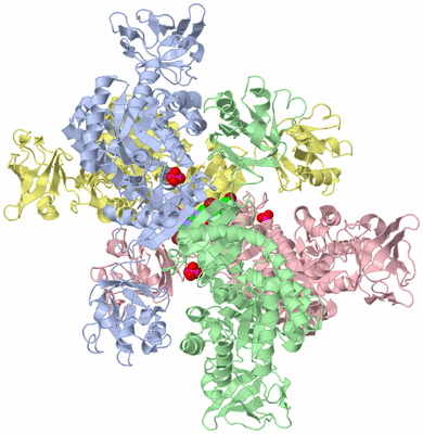 Image Asym./Biol. Unit