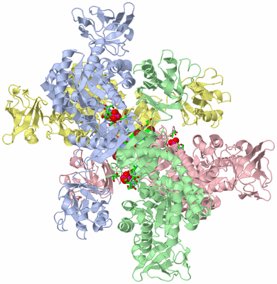 Image Asym./Biol. Unit - sites