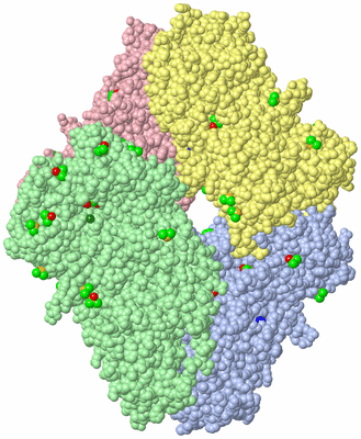 Image Asym./Biol. Unit