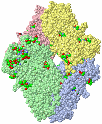 Image Asym./Biol. Unit - sites