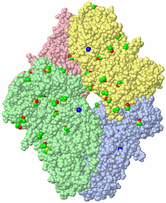 Image Asym./Biol. Unit