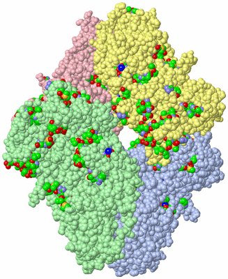 Image Asym./Biol. Unit - sites