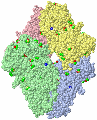 Image Asym./Biol. Unit