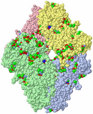 Image Asym./Biol. Unit - sites