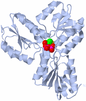 Image Biological Unit 1