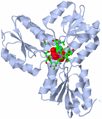 Image Biol. Unit 1 - sites