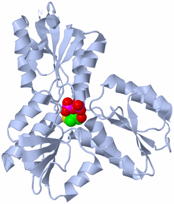 Image Biological Unit 1