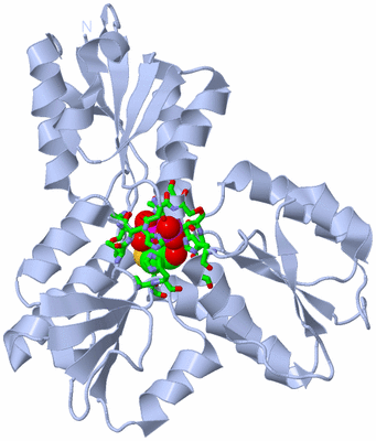 Image Biol. Unit 1 - sites