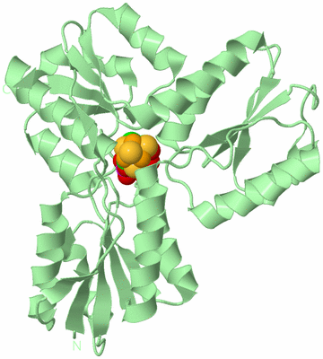 Image Biological Unit 2