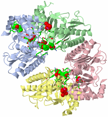 Image Asym./Biol. Unit - sites