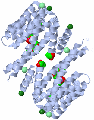 Image Biological Unit 1