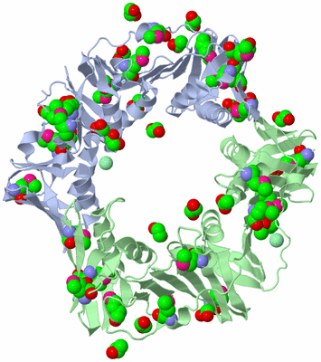 Image Asym./Biol. Unit