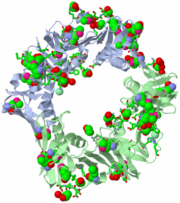 Image Asym./Biol. Unit - sites