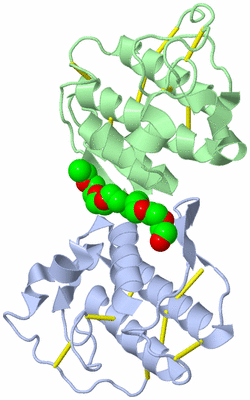 Image Biological Unit 1