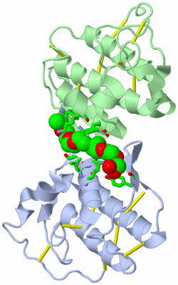 Image Biol. Unit 1 - sites