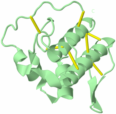 Image Biological Unit 4