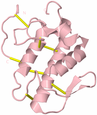 Image Biological Unit 5