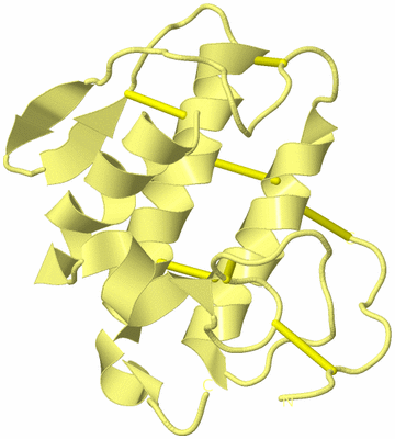 Image Biological Unit 6