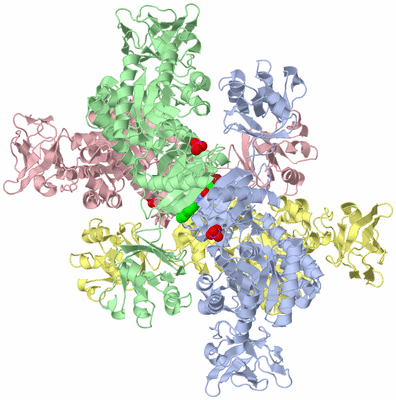 Image Asym./Biol. Unit