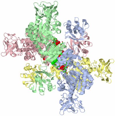 Image Asym./Biol. Unit - sites