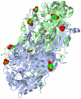 Image Biological Unit 1