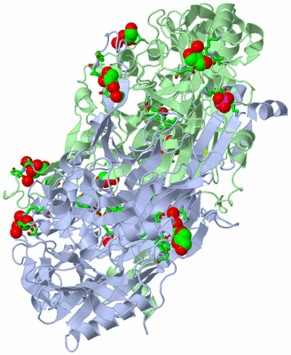 Image Biol. Unit 1 - sites