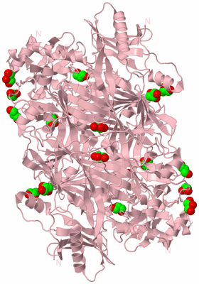 Image Biological Unit 2