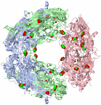 Image Biological Unit 3