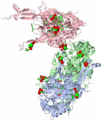 Image Asym. Unit - sites