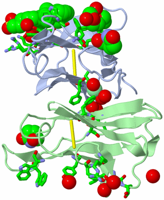 Image Biol. Unit 1 - sites