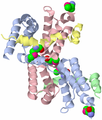 Image Asym./Biol. Unit