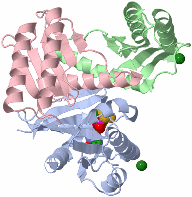 Image Asym./Biol. Unit