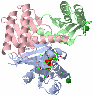 Image Asym./Biol. Unit - sites