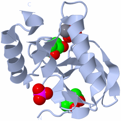 Image Biological Unit 1