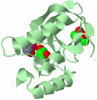 Image Biological Unit 2