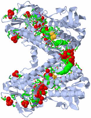 Image Biol. Unit 1 - sites