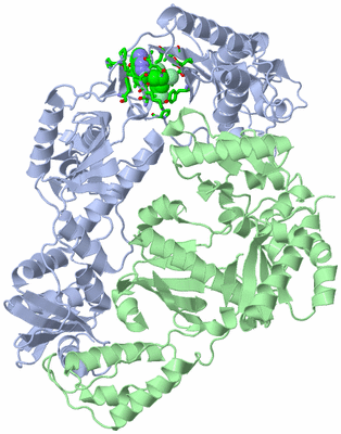 Image Biol. Unit 1 - sites