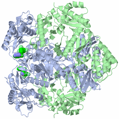 Image Biological Unit 2