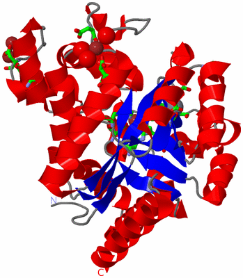 Image Asym./Biol. Unit - sites