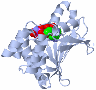 Image Biological Unit 1