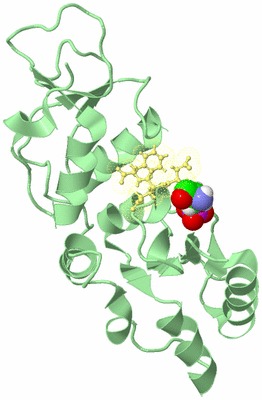 Image Biological Unit 2