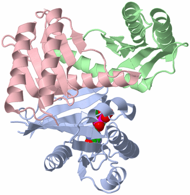 Image Asym./Biol. Unit