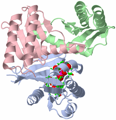 Image Asym./Biol. Unit - sites