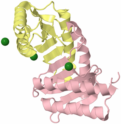 Image Biological Unit 2