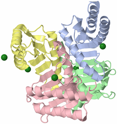 Image Biological Unit 3